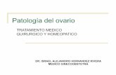 TRATAMIENTO MEDICO QUIRURGICO Y …homeopatasveracruz.com/files/120.pdf · Cistadenoma Seroso. Tumor seroso de bajo potencial maligno (limítrofe) Tumor seroso de bajo potencial maligno