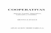 COOPERATIVAS - datos.aplicacion.com.ardatos.aplicacion.com.ar/previews/2009/9789871487448_lavalle_cooper... · El cooperativismo es un reconocido generador de empleo, ya sea en forma