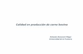 Calidad en producción de carne bovina - Praderas y …praderasypasturas.com/files/menu/catedras/produccion_de_carne... · ósea y solamente la cantidad de grasa exigida por el mercado