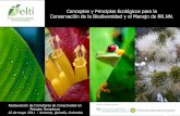 Conceptos y Principios Ecológicos para la … · Conceptos y Principios Ecológicos para la Conservación de la Biodiversidad y el Manejo de RR.NN. Restauración de Corredores de