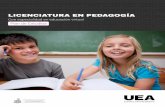 Plan de Estudios - UEA Centro Universitarioueauniversidad.mx/wp-content/uploads/2017/07/UEA... · desde una perspectiva integradora de los saberes psicológicos sociopolíticos, socioculturales
