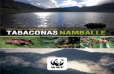 Conociendo el santuario nacional Tabaconas Namballeassets.panda.org/downloads/librosntn.pdf · Universidad Nacional Agraria La Molina, la Universidad Peruana Cayetano Heredia, la