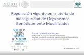 Regulación vigente en materia de bioseguridad de ...€¦ · Regulación vigente en materia de bioseguridad de Organismos Genéticamente Modificados Brenda Leticia Ordaz Herrera