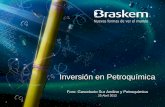 Inversión en Petroquímica - Peru · utilizará propilenooriundo de las refinerías de PDVSA. Proyectos con Petrobras Fuente: Braskem PROYECTO ETILENO XXI: Inicio en 2015 MÉXICO