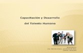 Capacitación y Desarrollo del Talento Humano · ESTRATOS DE CAPACITACIÓN, DESARROLLO DE PERSONAL Y DESARROLLO ORGANIZACIONAL Desarrollo Organizacional Desarrollo de Personal Capacitación