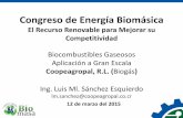 Congreso de Energía Biomásica - cicr.com · Eficiencia de quemadores 86% 86% Capacidad (kg vapor /hr) 12000 12000 30000 980 1067 Capacidad de agua (lt/hr) 26448 26448 155 320 ...