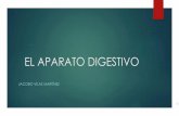 EL APARATO DIGESTIVO - bioxeo3eso.weebly.combioxeo3eso.weebly.com/uploads/5/8/4/7/5847869/jacobo_vilas_trabajo... · GLÁNDULAS ANEXAS AL SISTEMA DIGESTIVO. Las glándulas salivales