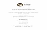 UNIVERSIDAD GALILEO FACULTAD DE CIENCIAS DE …biblioteca.galileo.edu/tesario/bitstream/123456789/146/1/2013010... · conceptual, el método galería de famosos para definir y estructurar
