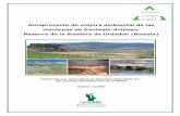 Anteproyecto de mejora ambiental de las marismas de ... · Anteproyecto de mejora ambiental de las marismas de Gautegiz-Arteaga Consultora de Recursos Naturales, S.L. 3 ÍNDICE Pág.