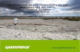 EL PROBLEMA DE LOS FOSFOYESOS EN LAS MARISMAS …archivo-es.greenpeace.org/espana/Global/espana/report/... · Polo químico Balsas de fosfoyesos (1.200 hectareas) r sobre las marismas
