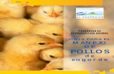 GUIA PARA EL MANEJO DE POLLOSmedia.admininhouse.com/uploads/€¦ · 1. CONSTRUCCION DE GALERAS: La crianza de pollos de engorde puede realizarse de dos formas: en confinamiento a