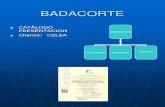BADACORTE - grupame.comgrupame.com/assets/badacorte.presentacion.pdf · CALDERERIA 2 Sierras ... 1 Máquina Láser C.N.C. con programa de trazado de caldereria de 2000*4500 útiles.