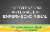 HIPERTENSIÓN ARTERIAL EN ENFERMEDAD RENAL · Resistencia relativa a PAN por degradación acelerada de GMPc por fosfodiesterasa. ... Probablemente por aumento de dureza de aorta.