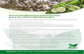 Recomendaciones nutricionales para el cultivo del almendro · El cultivo del almendro, ... la planta a través del sistema de riego, ofreciendo nutrientes esenciales precisamente