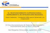 EL REAFIANZAMIENTO SUPRANACIONAL: HERRAMIENTA DE ...redegarantias.com/archivos/web/ficheros/2010/garantias_e_integrac... · financiamiento para la micro y la pyme Isla Margarita (Venezuela),