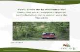 Evaluación de la dinámica del carbono en el bosque ... · CCA (2014), Evaluación de la dinámica del carbono en el bosque tropical semideciduo de la península de Yucatán , Comisión