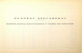 Anuario de Estadistica Agraria - mapama.gob.es · Cuadro comparativo, por regiones, de la producción de REMOLACHA AZUCARERA en las dos últimas campañas Cuadro núm. 46. (a) ...