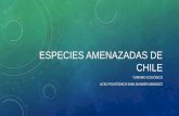 ESPECIES AMENAZADAS DE CHILE - secst.cl · • Identificación de las especies, según su estado de conservación permite definir prioridades de acción y con ello, ... contiene el