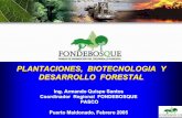 PLANTACIONES, BIOTECNOLOGIA Y DESARROLLO … · “Riqueza forestal, oportunidad para todos” PLANTACIONES, BIOTECNOLOGIA Y DESARROLLO FORESTAL Ing. Armando Quispe …