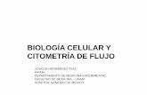 BIOLOGÍA CELULAR Y CITOMETRÍA CITOMETRÍA DE FLUJO DE …turing.iimas.unam.mx/~vinculacionBioMed/progrma/individual/... · biologÍa celular y citometrÍa citometrÍa de flujo de
