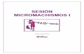 SESIÓN MICROMACHISMOS I - e-ocsi.org · 3 Bienvenida y presentación El objetivo este encuentro es profundizar en el tema de los micromachismos desde la construcción colectiva a