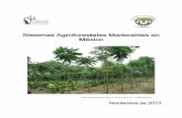 Sistemas Agroforestales Maderables en México - gob.mx · vi Índice de Cuadros Cuadro 1.1. Clasificación de los Sistemas Agroforestales según la función del componente forestal.