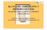 EL CALCIO: ABSORCIÓN Y METABOLIZACIÓN · mineralización de los huesos durante el crecimiento y en los adultos para elmineralización de ... • La vitamina D fija el calcio y el
