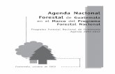 Agenda Nacional Forestal Guatemala Marco Programa …faolex.fao.org/docs/pdf/gua148601.pdf · INGUAT Instituto Guatemalteco de Turismo INTECAP Instituto Técnico de Capacitación
