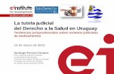 La tutela judicial del Derecho a la Salud en Uruguay ...api.ning.com/files/0txgB9E*9ovl1qOhQRKClKPcvyvEP10wP4tX8... · o Relevar jurisprudencia uruguaya sobre ... en los tiempos adecuados.