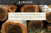 Desarrollo de Plantaciones Forestales Comerciales en …proteak.com/files/presentacion/PresentaciónForoCONAFORFAO.pdf · comerciales generaría hasta USD 7,000 MM anuales de valor