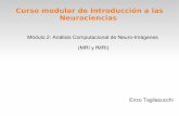 Curso modular de Introducción a las Neurociencias · cerebro activo y el cerebro en reposo. ... Analisis de componentes independientes ... Comparacion entre componentes independientes