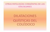 DILATACIONES QUÍSTICAS DEL COLÉDOCOecaths1.s3.amazonaws.com/tecnicasquirurgicas1/Cirugia Vesicula y... · MANIOBRA DE VAUTRIN KOCHER . EXPLORACIÓN DE LA VÍA BILIAR MANUAL. EXPLORACIÓN