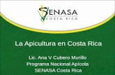 La Apicultura en Costa Rica - Centro para el … de sanidad Pensando en su salud SENASA certifica productos identificados con el sello "Símbolo de Sanidad" el cual garantiza la inocuidad