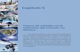 Casos de estudio en la industria del calzado en Méxicoprofesor.fca.unam.mx/docs/publicaciones/libros/pyme/V.pdf · negocio redituable mediante la fabricación de calzado para bebés