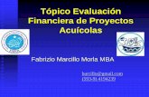 Tópico Evaluación Financiera de Proyectos Acuícolas · 1. Estudio de factibilidad para la instalación y operación de una granja de tilapia de 5 hectáreas destinada al ... tesis,