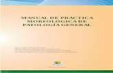 MANUAL DE PRÁCTICA MORFOLÓGICA DE … de patologia.pdf · El manual se ha elaborado con 4 objetivos principales: Presentar al estudiante, una guía práctica de laboratorio, de