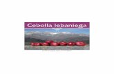 2005 Cebolla lebaniega (1) - Centro de Investigación y ... (2).pdf · ORIGEN El origen primario se localiza en Asia central, siendo el mediterráneo su centro de expansión. Su cultivo