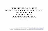 TRIBUNAL DE DISTRITO DE NUEVO MÉXICO GUÍA DE AUTOAYUDA spanish.pdf · Guía de autoayuda del Tribunal de Distrito de NM, julio de 2016, Cómo representarse a sí mismo – Información