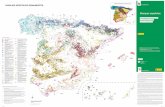 Bosques españoles - gestioncinegetica · 31 Paisajes basales canarios en ambientes termoxerófilos: tabaibales-cardonales, sabinares y restos de los primitivos bosques termocanarios