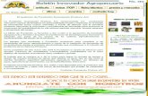 Boletín Innovador Agropecuario No. 310 · angosta, en el sistema de siembra en surcos, se recomienda hacer las aplicaciones en banda, por ejemplo para el herbicida Grasp 25% SC se