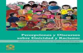 Percepciones y Discursos sobre Etnicidad y Racismo de Etnicidad y Racismo.pdf · misma discriminación, y a actitudes en los grupos de poder que ven a la población indígena básica-
