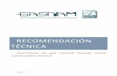 REcomendación técnicagasnam.es/wp-content/uploads/2017/11/...suministro-GNL-a-buques-2… · 4.5 Operación de enfriamiento de la bomba criogénica previo al ... Buque de suministro: