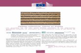 Galletas palentinas, líderes en Argelia - Trade Websitestrade.ec.europa.eu/doclib/docs/2016/september/tradoc_154946.pdf · En 2015 Gullón facturó en Argelia 2,2 millones de euros