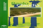 Baelo cuaderno Primaria · Baelo Claudia Actividades antes de la visita Gabinete Pedagógico de Bellas artes. Cádiz 3 Este dibujo es una reconstrucción de Baelo Claudia, la ciudad