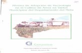 Niveles de Adopción de Tecnología en el Cultivo de Arroz ...bibliotecadigital.agronet.gov.co/bitstream/11348/3828/1/219.pdf · Niveles de Adopción de Tecnología en el Cultivo