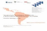 Transferencia Tecnológica, Innovación y … · Seminario Sobre Mecanismos de Transferencia de Tecnología para PYMES Lima, Perú 23 y 24 de julio de 2013 ... ejemplos propios y