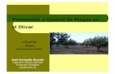 Prevención y Control de Plagas en el Olivar - SEAE · Introducción: Datos del Sector Ecológico en España 2. Descripción de retos 3. ... Plagas y enfermedades en Olivo . Evolución