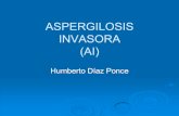 ASPERGILOSIS INVASORA (AI) - himfg.com.mxhimfg.com.mx/descargas/documentos/epidemiologia/Presentaciones... · Neumotórax Cáncer pulmonar ... Histología + Y Signos/síntomas+ Evidencia