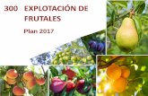 300 EXPLOTACIÓN DE FRUTALES · 2018-05-24 · ― Cultivos asegurables: Albaricoque, Ciruela, Manzana de mesa, Manzana de sidra, Pera, Melocotón, Nectarina, Paraguayo y Platerina.