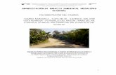 MANIFESTACIÓN DE IMPACTO AMBIENTAL …sinat.semarnat.gob.mx/dgiraDocs/documentos/gro/estudios/2009/12GE... · municipal y a 35 kilómetros sobre la carretera federal Acapulco-Pinotepa
